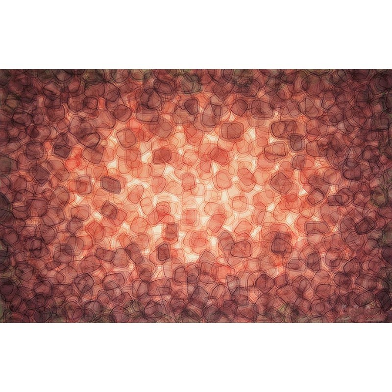《生生不息》之九